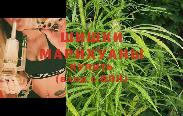 стафф Михайловск