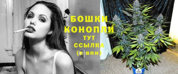 стафф Михайловск