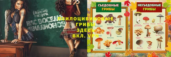 стафф Михайловск