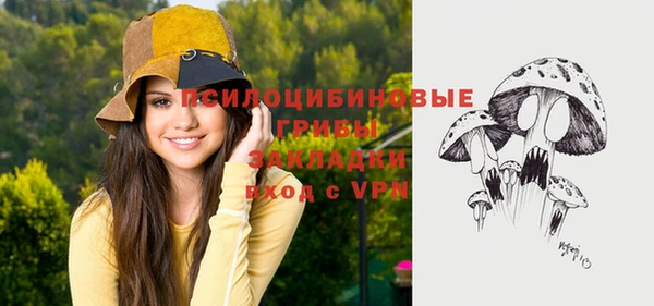 стафф Михайловск